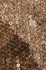 Celestina-Embellished Corset A-line Mini Dress in Black Gold Foil