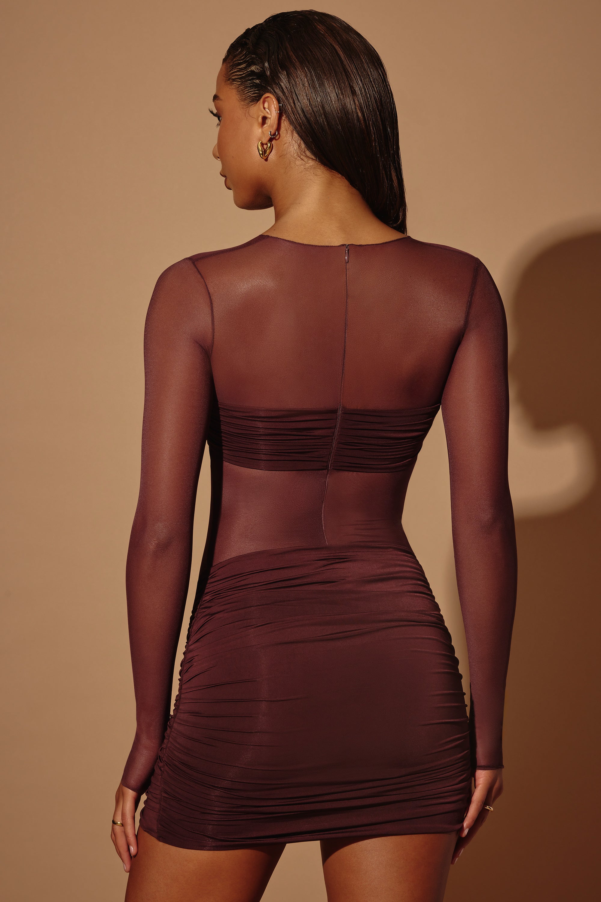 Essie-Sheer Panelled Long Sleeve Mini Dress in Brown