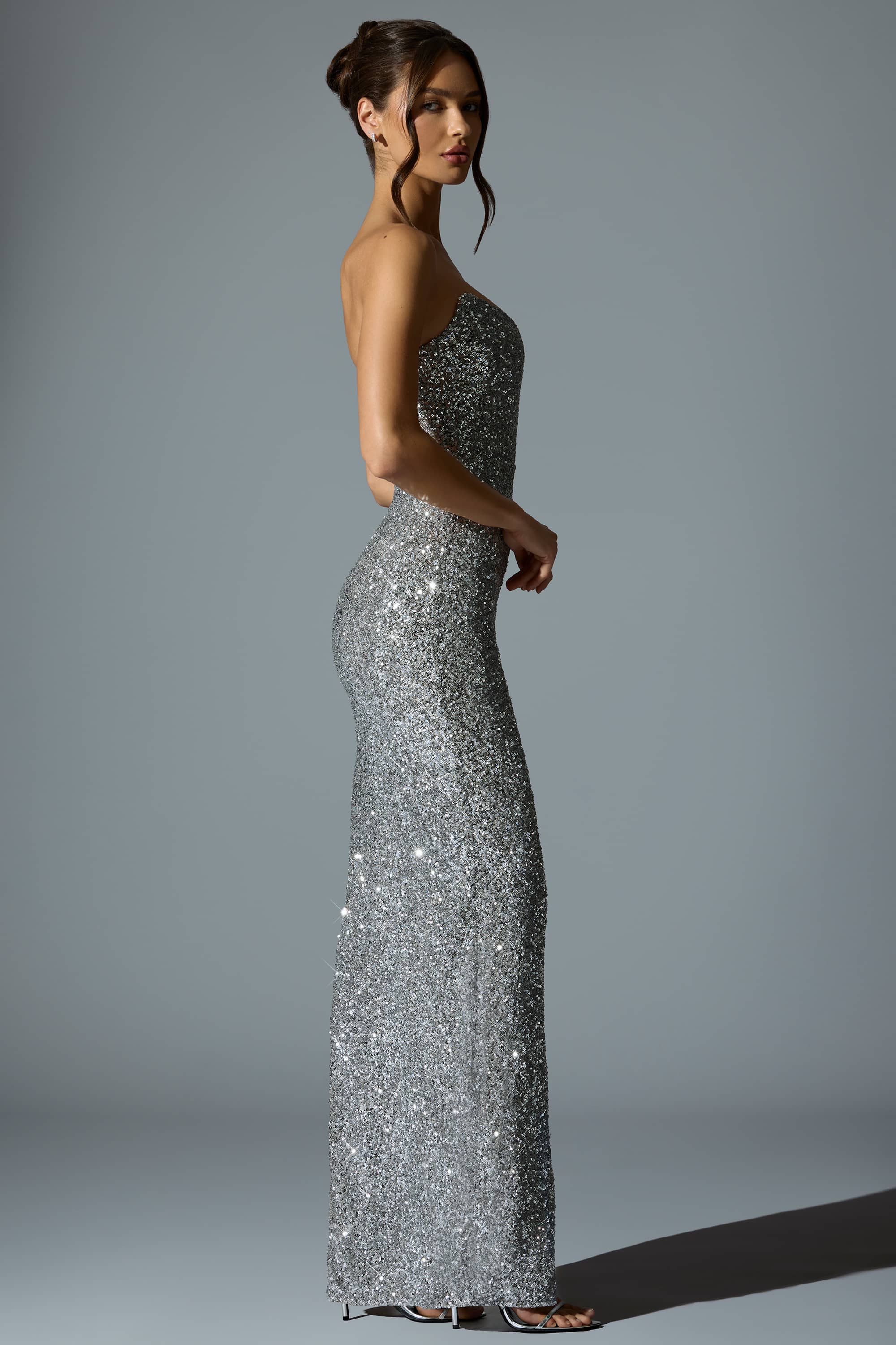 Jasella-Embellished Corset Gown in Silver